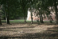 Img 160